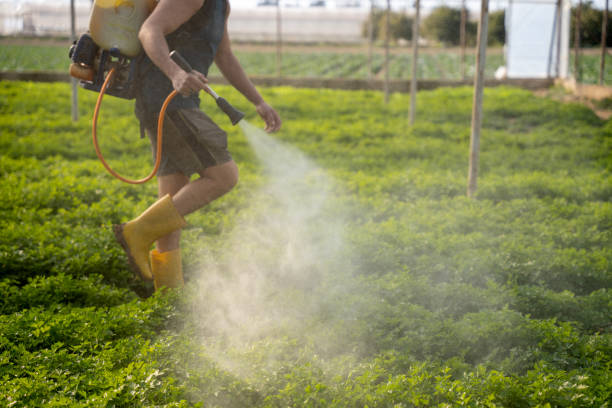 Best Mosquito Control Services  in , VT